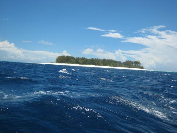 Sổ tay du lịch so tay du lich Sotaydulich Sotay Dulich Khampha Kham Pha Bui Quyến rũ quần đảo Zanzibar