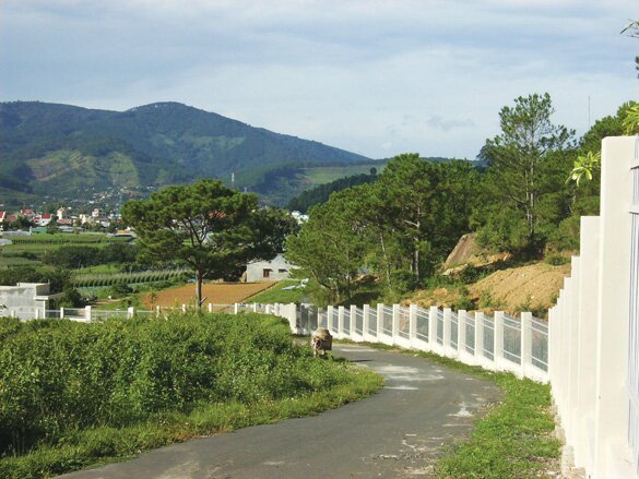 Sổ tay du lịch so tay du lich Sotaydulich Sotay Dulich Khampha Kham Pha Bui Thị trấn Dran mùa hoa dã quỳ