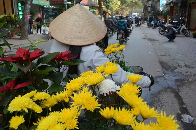 Sổ tay du lịch so tay du lich Sotaydulich Sotay Dulich Khampha Kham Pha Bui Sắc hoa rực rỡ trên phố Hoàng Hoa Thám