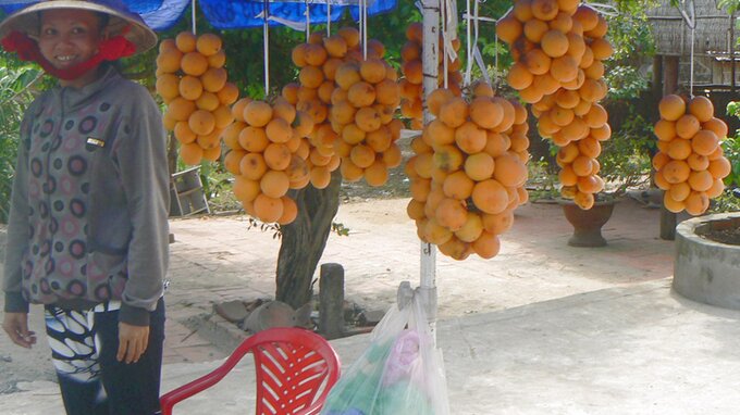 Sổ tay du lịch so tay du lich Sotaydulich Sotay Dulich Khampha Kham Pha Bui Mứt thanh trà Đông Thành đón tết