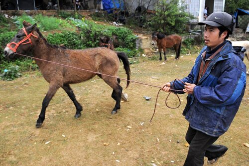 Sổ tay du lịch so tay du lich Sotaydulich Sotay Dulich Khampha Kham Pha Bui Phiên chợ ngựa nổi tiếng nhất vùng Tây Bắc