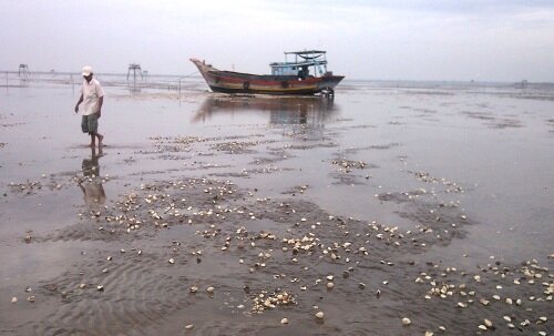 Sổ tay du lịch so tay du lich Sotaydulich Sotay Dulich Khampha Kham Pha Bui Tân Thành Điểm du xuân thú vị