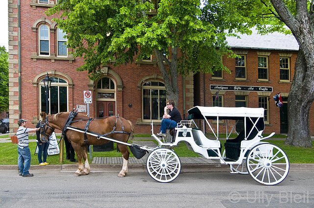 Sổ tay du lịch so tay du lich Sotaydulich Sotay Dulich Khampha Kham Pha Bui Khám phá Charlottetown của đảo Hoàng tử Edward