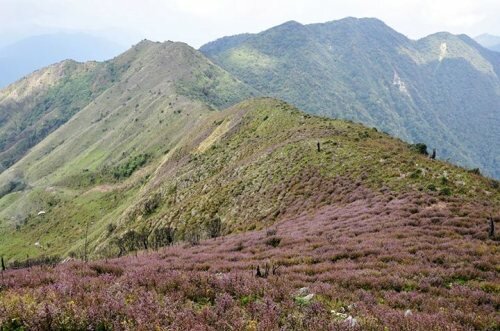 Sổ tay du lịch so tay du lich Sotaydulich Sotay Dulich Khampha Kham Pha Bui Tà Chì Nhù Đại dương trên mây