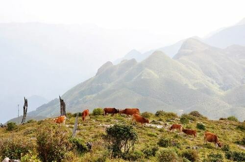 Sổ tay du lịch so tay du lich Sotaydulich Sotay Dulich Khampha Kham Pha Bui Tà Chì Nhù Đại dương trên mây