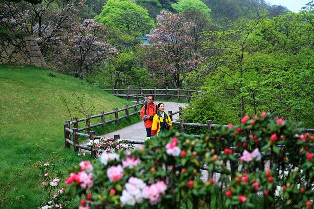 Sổ tay du lịch so tay du lich Sotaydulich Sotay Dulich Khampha Kham Pha Bui Thưởng lãm hoa xuân ở Hoàng Sơn