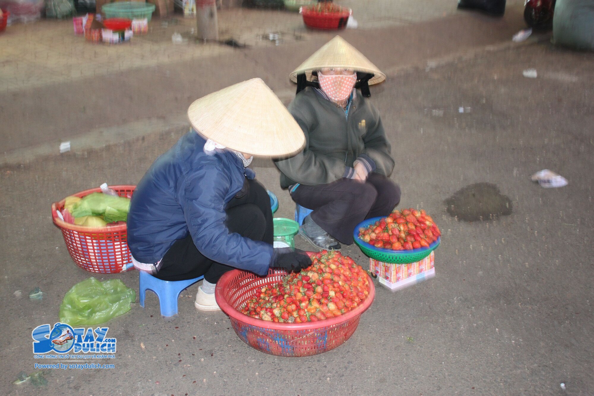 Sổ tay du lịch so tay du lich Sotaydulich Sotay Dulich Khampha Kham Pha Bui Một ngày đi rong Đà Lạt