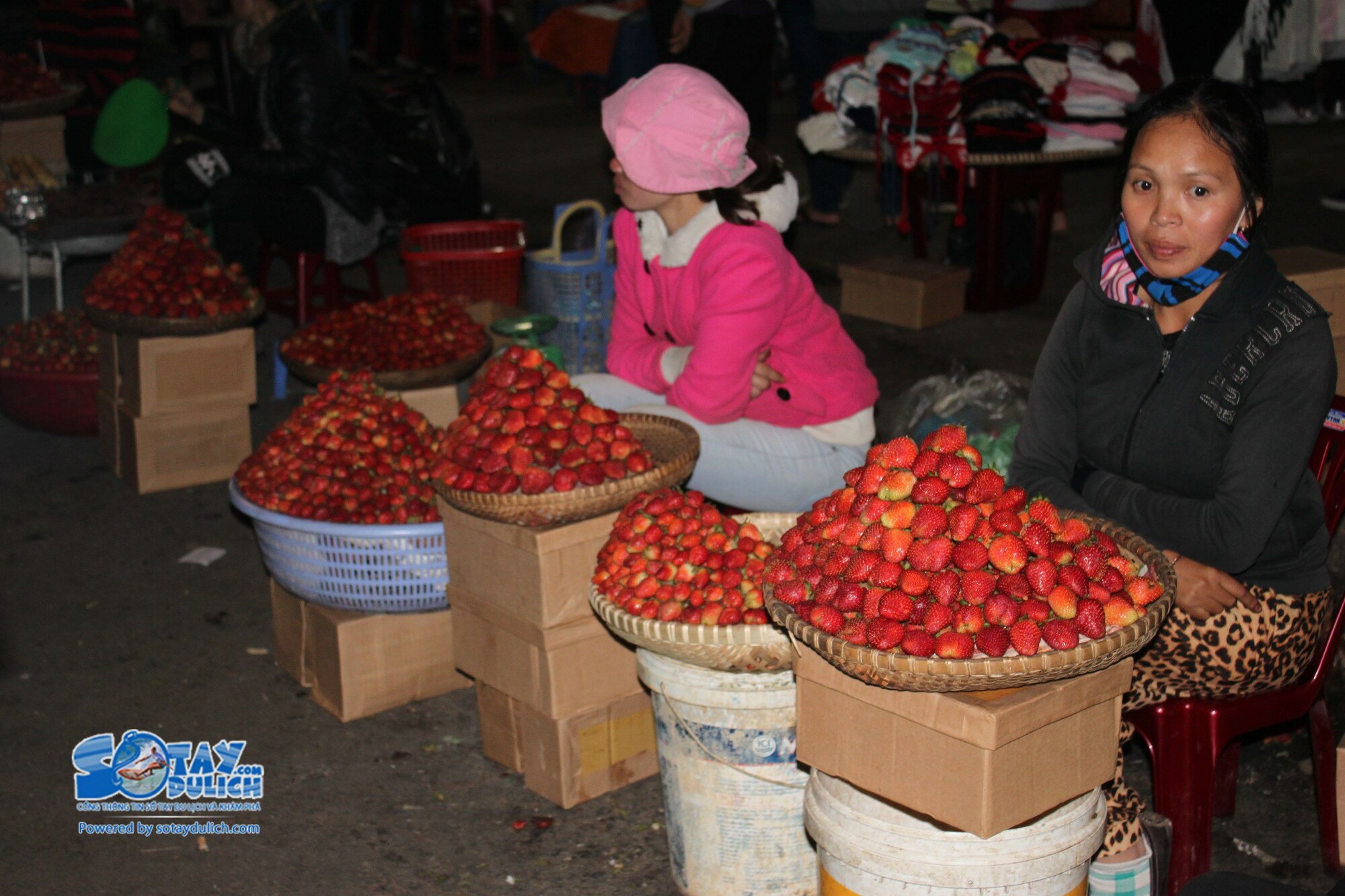 Sổ tay du lịch so tay du lich Sotaydulich Sotay Dulich Khampha Kham Pha Bui Một ngày đi rong Đà Lạt