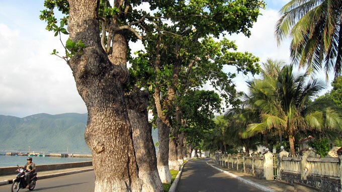 Sổ tay du lịch so tay du lich Sotaydulich Sotay Dulich Khampha Kham Pha Bui Ra Côn Đảo nhớ ăn hạt bàng rang