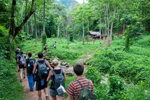 Sổ tay du lịch so tay du lich Sotaydulich Sotay Dulich Khampha Kham Pha Bui Những lưu ý khi đi du lịch rừng