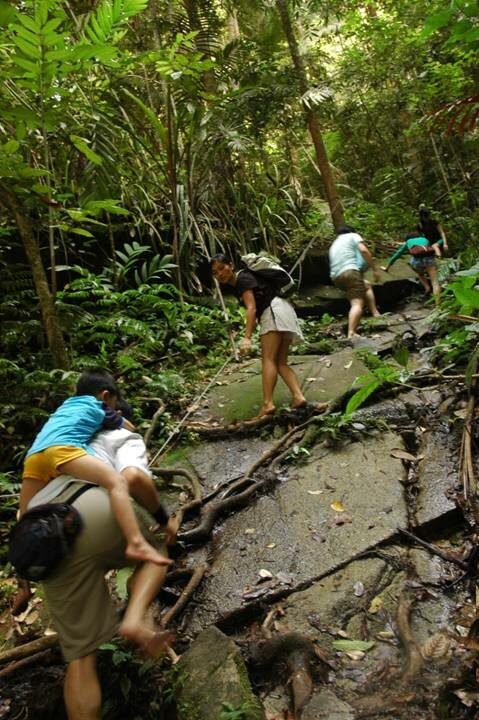 Sổ tay du lịch so tay du lich Sotaydulich Sotay Dulich Khampha Kham Pha Bui Những lưu ý khi đi du lịch rừng