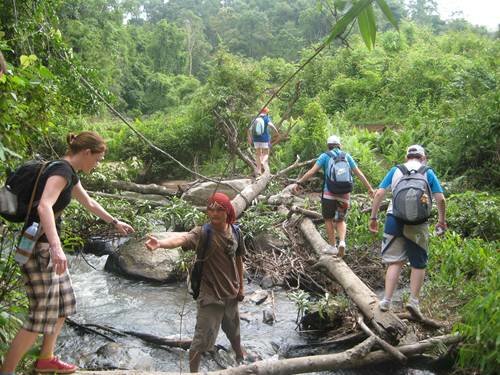 Sổ tay du lịch so tay du lich Sotaydulich Sotay Dulich Khampha Kham Pha Bui Những lưu ý khi đi du lịch rừng