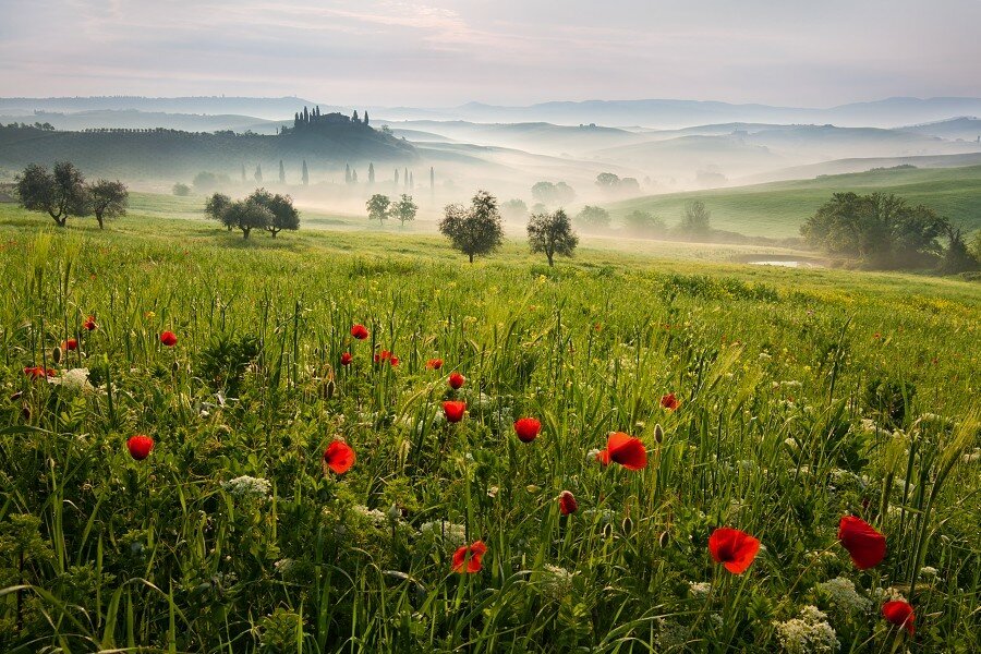 Sổ tay du lịch so tay du lich Sotaydulich Sotay Dulich Khampha Kham Pha Bui Thơ mộng những cánh đồng Tuscany