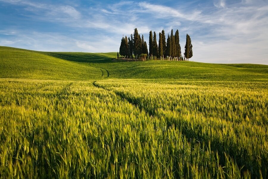 Sổ tay du lịch so tay du lich Sotaydulich Sotay Dulich Khampha Kham Pha Bui Thơ mộng những cánh đồng Tuscany