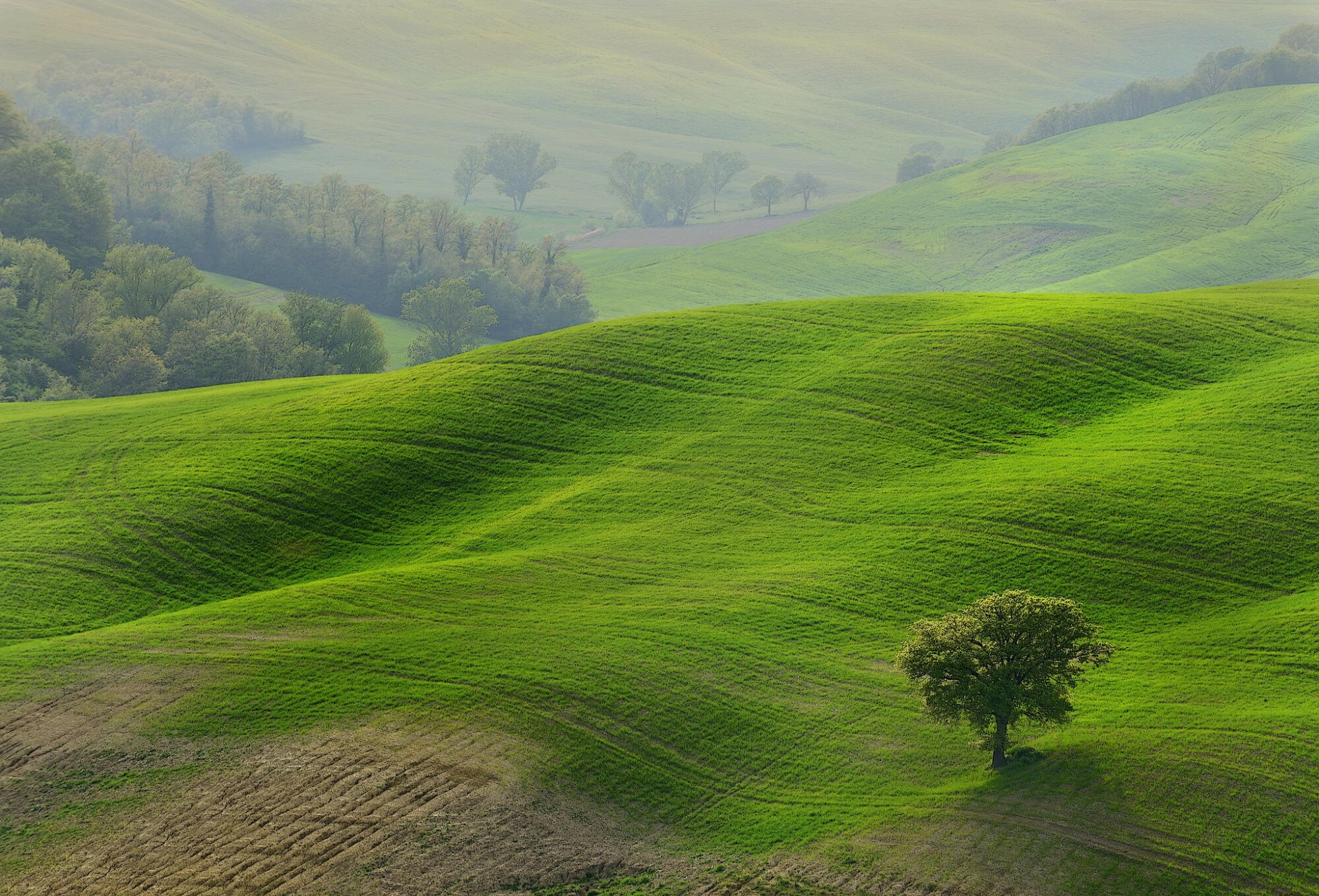 Sổ tay du lịch so tay du lich Sotaydulich Sotay Dulich Khampha Kham Pha Bui Thơ mộng những cánh đồng Tuscany