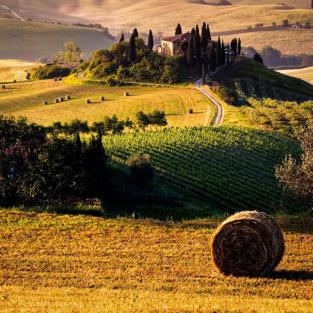 Sổ tay du lịch so tay du lich Sotaydulich Sotay Dulich Khampha Kham Pha Bui Thơ mộng những cánh đồng Tuscany