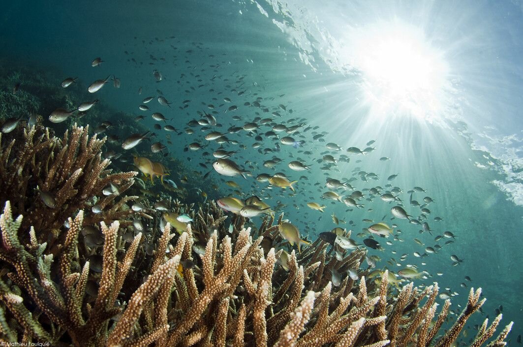 Sổ tay du lịch so tay du lich Sotaydulich Sotay Dulich Khampha Kham Pha Bui Truyền thuyết về Raja Ampat