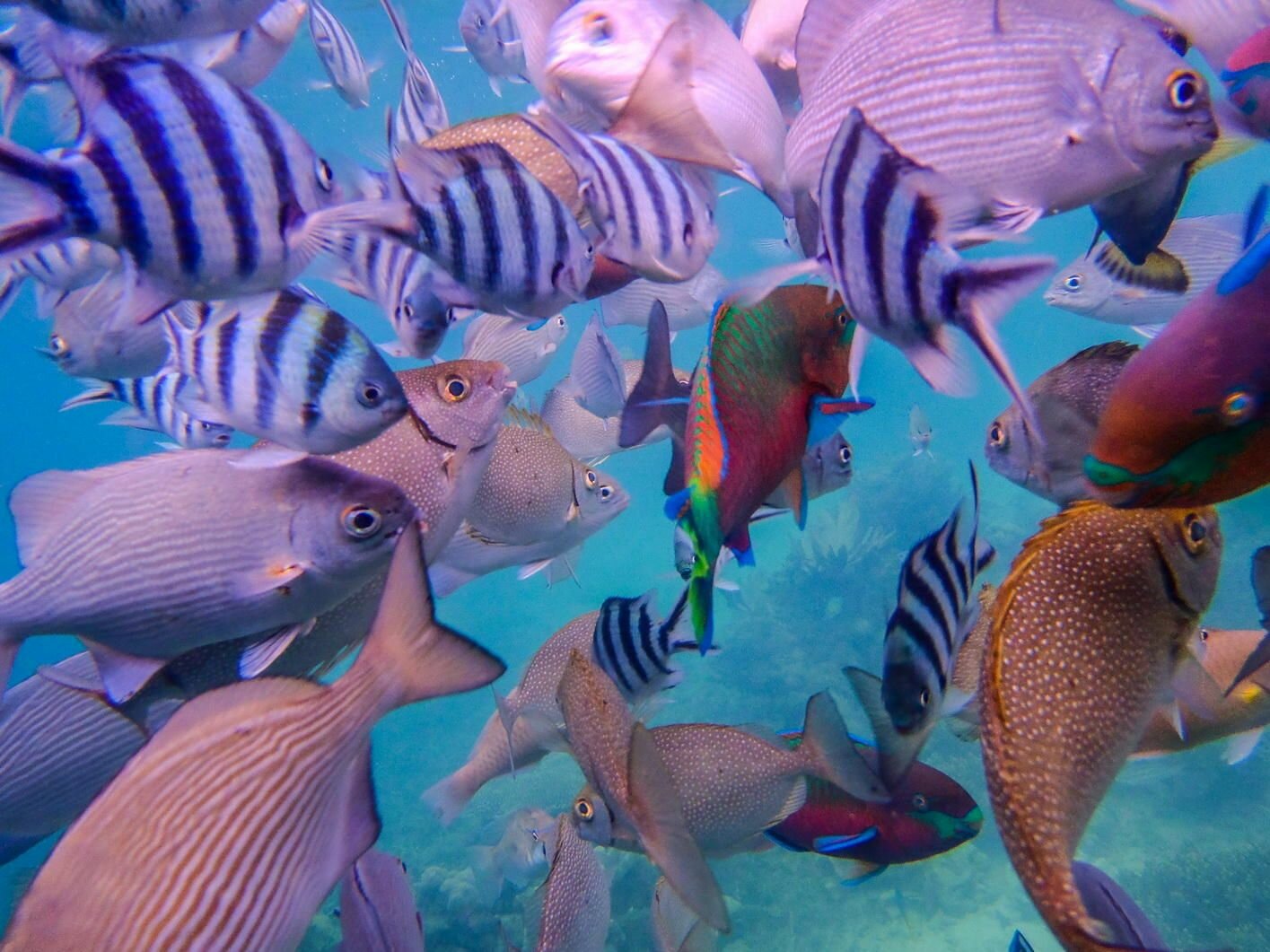 Sổ tay du lịch so tay du lich Sotaydulich Sotay Dulich Khampha Kham Pha Bui Truyền thuyết về Raja Ampat