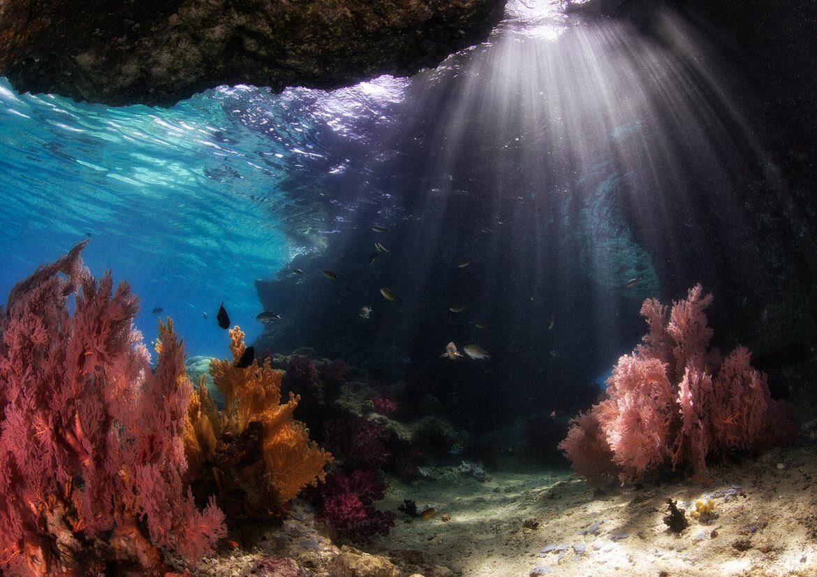 Sổ tay du lịch so tay du lich Sotaydulich Sotay Dulich Khampha Kham Pha Bui Truyền thuyết về Raja Ampat