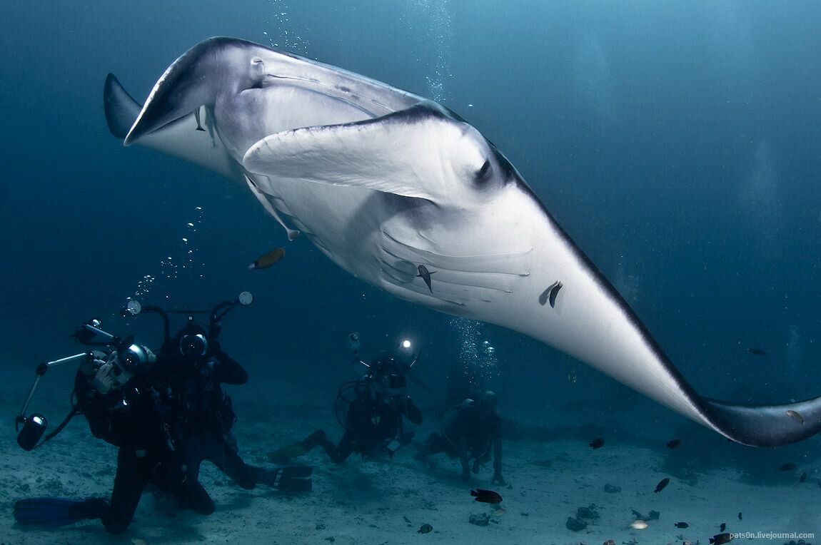 Sổ tay du lịch so tay du lich Sotaydulich Sotay Dulich Khampha Kham Pha Bui Truyền thuyết về Raja Ampat