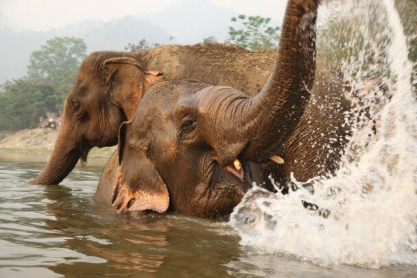 Sổ tay du lịch so tay du lich Sotaydulich Sotay Dulich Khampha Kham Pha Bui Địa điểm dành cho những du khách yêu động vật