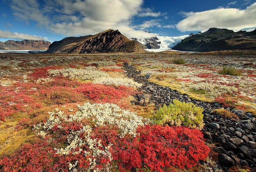 Sổ tay du lịch so tay du lich Sotaydulich Sotay Dulich Khampha Kham Pha Bui Vẻ đẹp cảnh quan tự nhiên ở Iceland