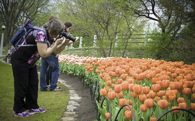 Sổ tay du lịch so tay du lich Sotaydulich Sotay Dulich Khampha Kham Pha Bui Canadian Tulip Festival Rực rỡ hội hoa tulip Canada