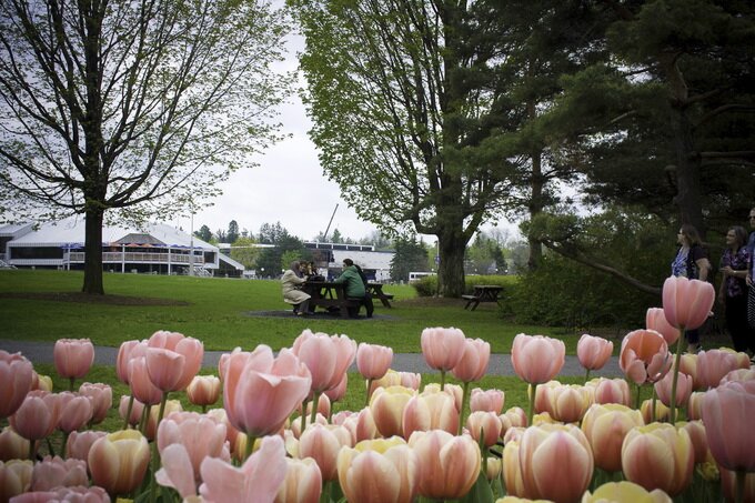 Sổ tay du lịch so tay du lich Sotaydulich Sotay Dulich Khampha Kham Pha Bui Canadian Tulip Festival Rực rỡ hội hoa tulip Canada