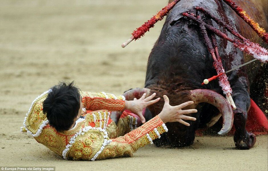 Sổ tay du lịch so tay du lich Sotaydulich Sotay Dulich Khampha Kham Pha Bui “Nhuộm đỏ” với hội đấu bò ở Tây Ban Nha