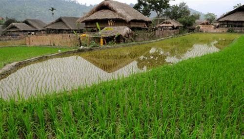 Sổ tay du lịch so tay du lich Sotaydulich Sotay Dulich Khampha Kham Pha Bui Chiều qua thôn Tha