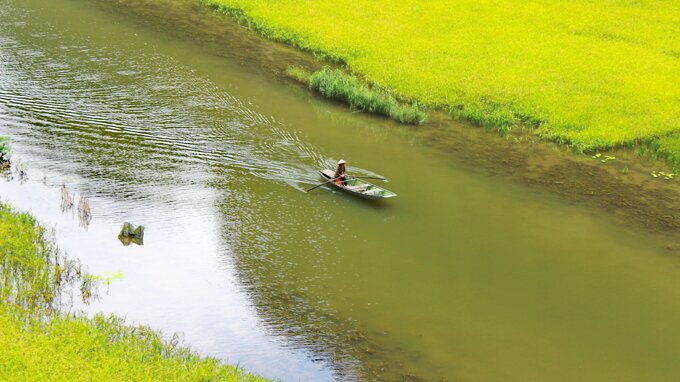 Sổ tay du lịch so tay du lich Sotaydulich Sotay Dulich Khampha Kham Pha Bui Mùa vàng trên Ngô Đồng giang