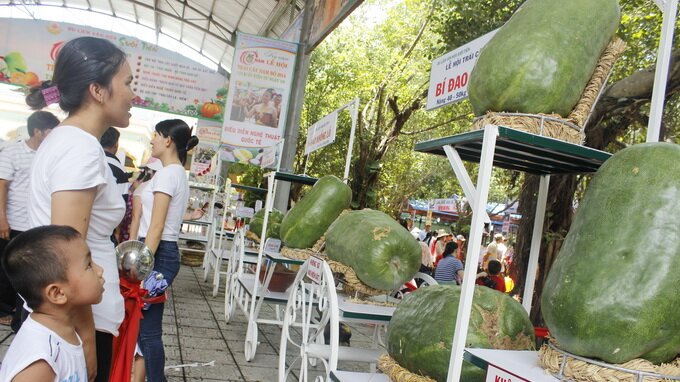 Sổ tay du lịch so tay du lich Sotaydulich Sotay Dulich Khampha Kham Pha Bui Lễ hội trái cây thu hút du khách