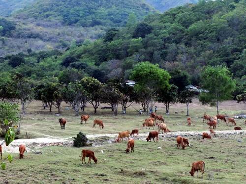  Sổ tay du lịch so tay du lich Sotaydulich Sotay Dulich Khampha Kham Pha Bui Khám phá con đường biển Vĩnh Lương ở Nha Trang