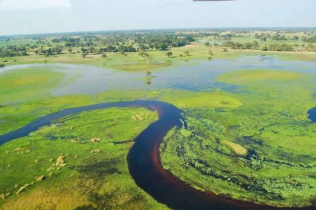 Sổ tay du lịch so tay du lich Sotaydulich Sotay Dulich Khampha Kham Pha Bui 10 điểm đến tuyệt đẹp ở Botswana