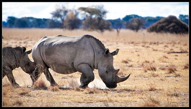 Sổ tay du lịch so tay du lich Sotaydulich Sotay Dulich Khampha Kham Pha Bui 10 điểm đến tuyệt đẹp ở Botswana