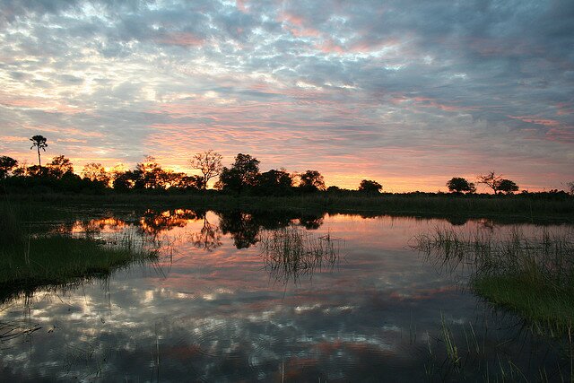 Sổ tay du lịch so tay du lich Sotaydulich Sotay Dulich Khampha Kham Pha Bui 10 điểm đến tuyệt đẹp ở Botswana