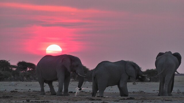 Sổ tay du lịch so tay du lich Sotaydulich Sotay Dulich Khampha Kham Pha Bui 10 điểm đến tuyệt đẹp ở Botswana