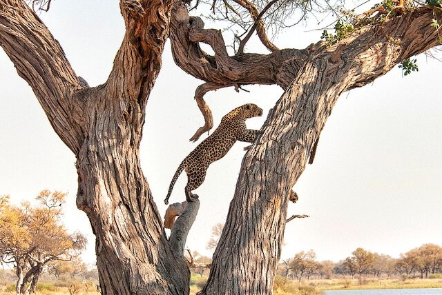 Sổ tay du lịch so tay du lich Sotaydulich Sotay Dulich Khampha Kham Pha Bui 10 điểm đến tuyệt đẹp ở Botswana