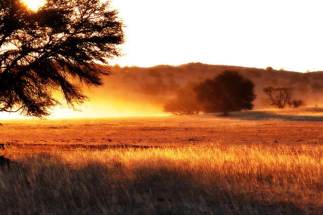 Sổ tay du lịch so tay du lich Sotaydulich Sotay Dulich Khampha Kham Pha Bui 10 điểm đến tuyệt đẹp ở Botswana