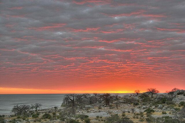 Sổ tay du lịch so tay du lich Sotaydulich Sotay Dulich Khampha Kham Pha Bui 10 điểm đến tuyệt đẹp ở Botswana