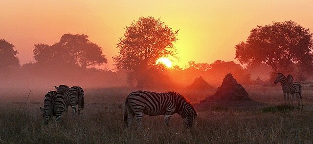 Sổ tay du lịch so tay du lich Sotaydulich Sotay Dulich Khampha Kham Pha Bui 10 điểm đến tuyệt đẹp ở Botswana