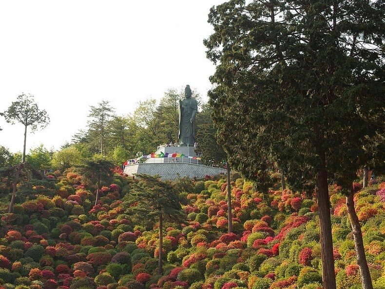 Sổ tay du lịch so tay du lich Sotaydulich Sotay Dulich Khampha Kham Pha Bui Tuyệt đẹp hoa đỗ quyên ở ngôi đền Shiofune Kannon-ji, Nhật Bản