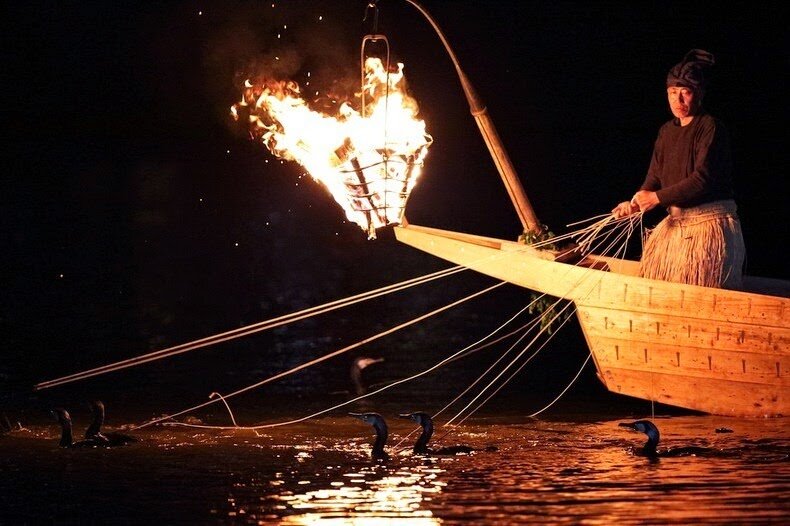 Sổ tay du lịch so tay du lich Sotaydulich Sotay Dulich Khampha Kham Pha Bui Ukai - Nghệ thuật bắt cá bằng chim cốc ở Nhật Bản