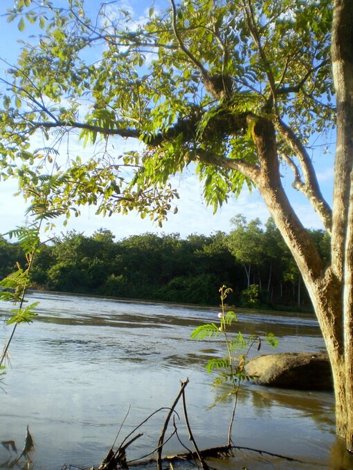 Sổ tay du lịch so tay du lich Sotaydulich Sotay Dulich Khampha Kham Pha Bui Thác Mai mùa mưa - cung đường tìm lại