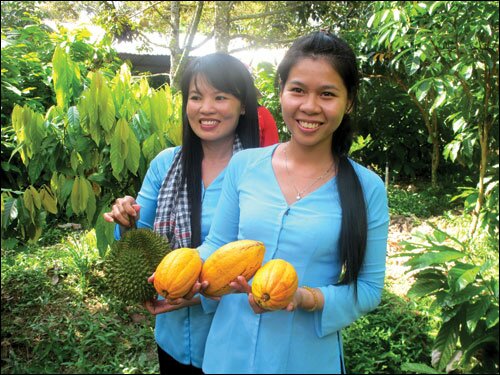 Sổ tay du lịch so tay du lich Sotaydulich Sotay Dulich Khampha Kham Pha Bui Chợ Lách - “vương quốc” trái cây