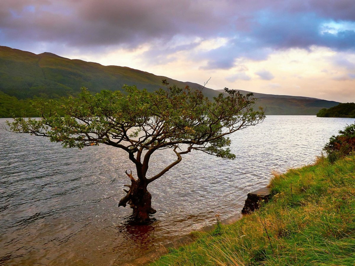 Sổ tay du lịch so tay du lich Sotaydulich Sotay Dulich Khampha Kham Pha Bui 23 bức ảnh khiến bạn muốn du lịch Scotland ngay