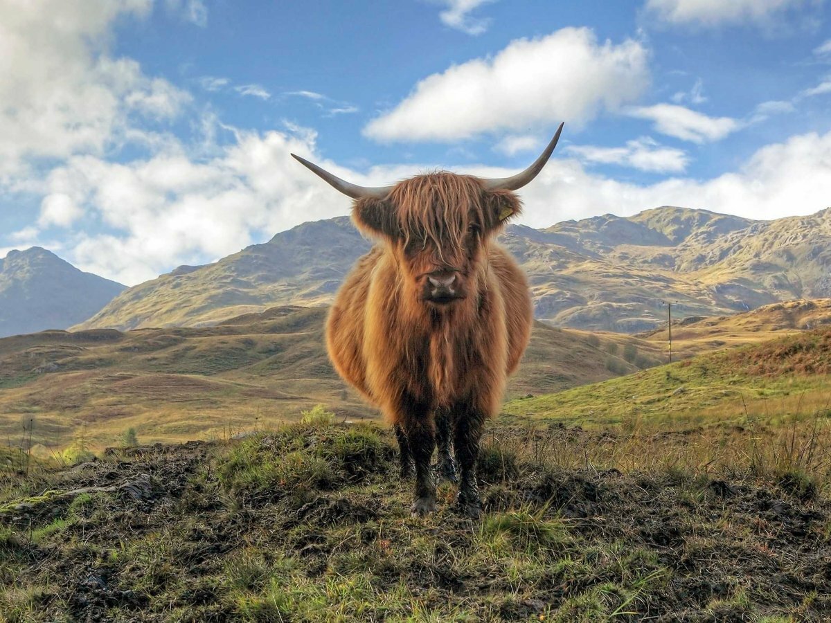 Sổ tay du lịch so tay du lich Sotaydulich Sotay Dulich Khampha Kham Pha Bui 23 bức ảnh khiến bạn muốn du lịch Scotland ngay