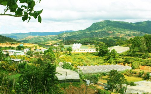 Sổ tay du lịch so tay du lich Sotaydulich Sotay Dulich Khampha Kham Pha Bui Chọn cung đường ngắm dã quỳ Đà Lạt