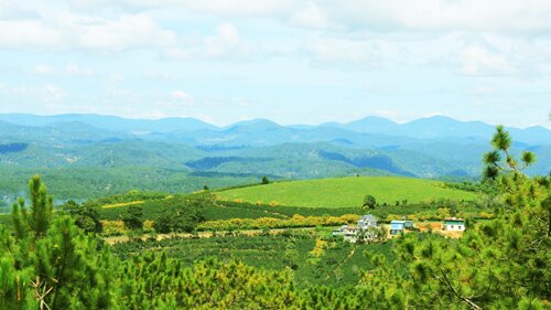 Sổ tay du lịch so tay du lich Sotaydulich Sotay Dulich Khampha Kham Pha Bui Chọn cung đường ngắm dã quỳ Đà Lạt