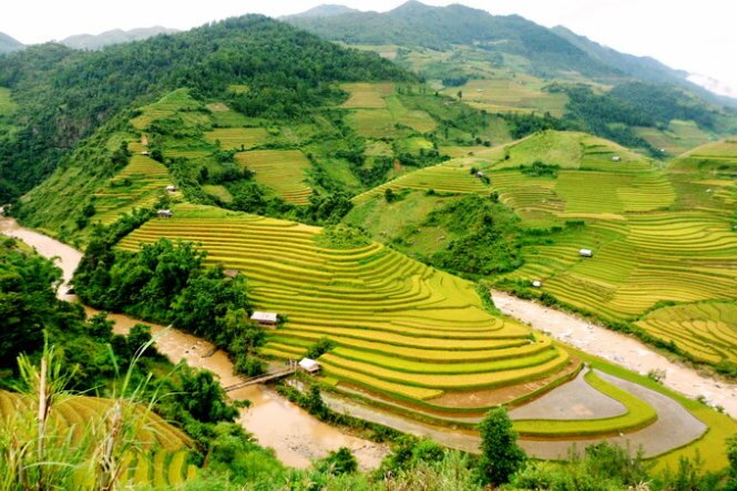 Sổ tay du lịch so tay du lich Sotaydulich Sotay Dulich Khampha Kham Pha Bui Mùa vàng Mù Cang Chải